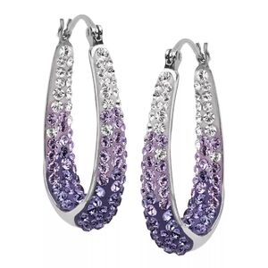 Elegant Silver and Purple Crystals Studded Hoop Earrings